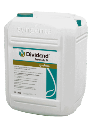 DIVIDEND FORMULA M FS