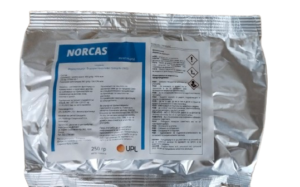 NORCAS WG