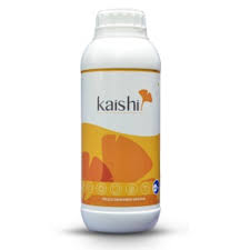 KAISHI